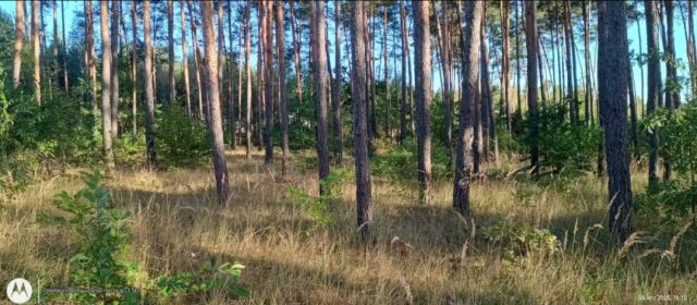 Działka budowlana Suków Papiernia, Suków. Zdjęcie 2