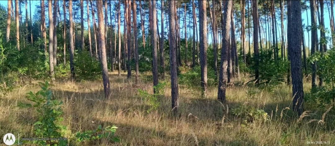 Działka budowlana Suków Papiernia, Suków. Zdjęcie 2