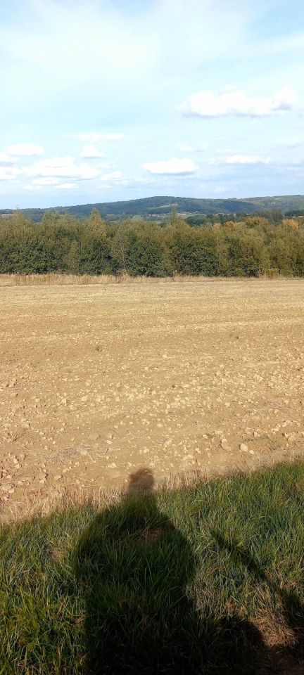 Działka rolna Połomia. Zdjęcie 3