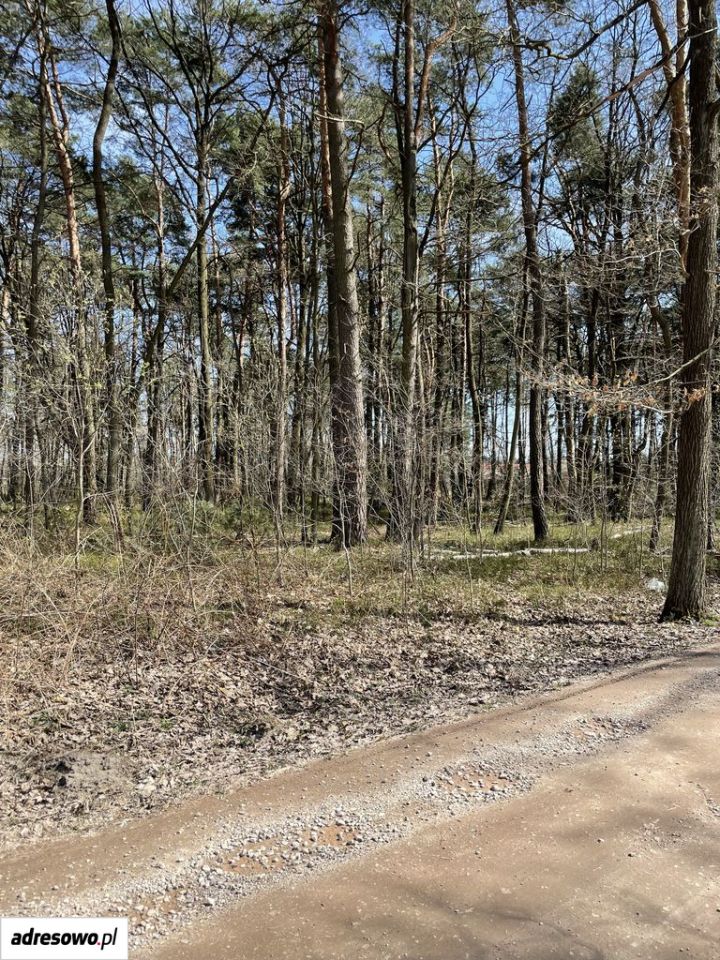 Działka budowlana Władysławów, ul. Przedwiośnia. Zdjęcie 4