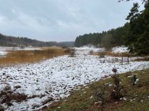 Działka rolna Bożepole Królewskie. Zdjęcie 4