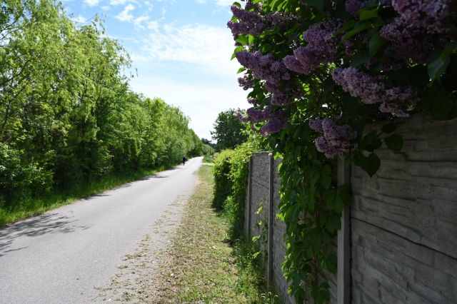 Działka budowlana Krężce, ul. Źródlana. Zdjęcie 1