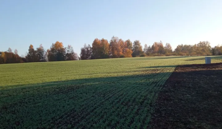 Działka rolno-budowlana Pławna Dolna