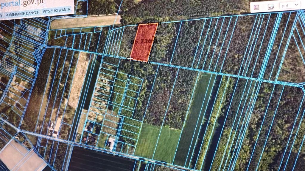 Działka leśna Jamno. Zdjęcie 3