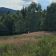 Działka budowlana Kocierz Rychwałdzki. Zdjęcie 7