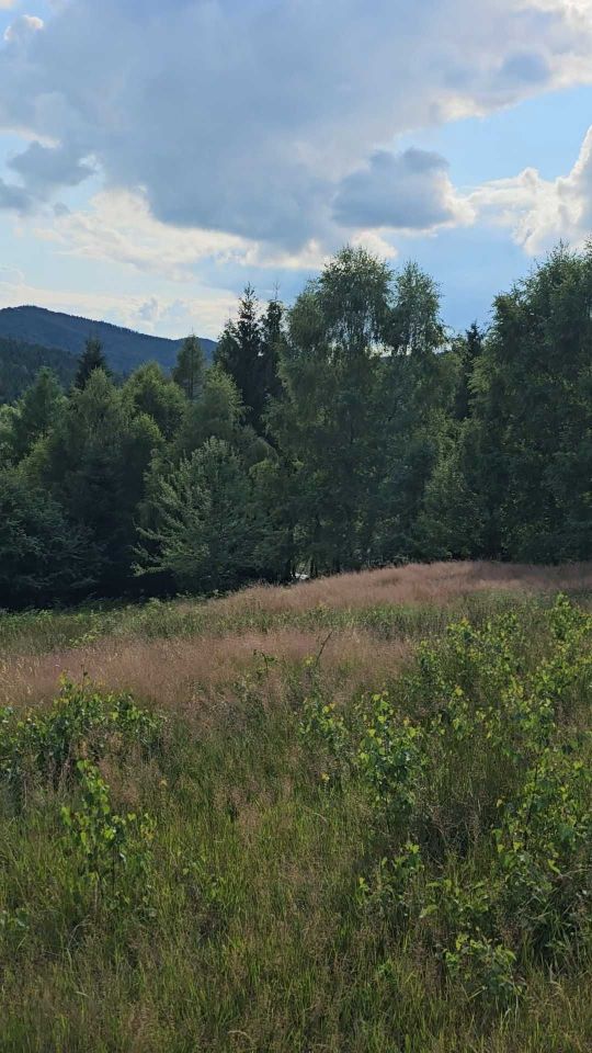 Działka budowlana Kocierz Rychwałdzki. Zdjęcie 7