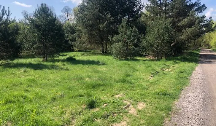 Działka budowlana Marynin