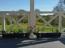 dom wolnostojący, 5 pokoi Pawlikowice Kopalina. Zdjęcie 3