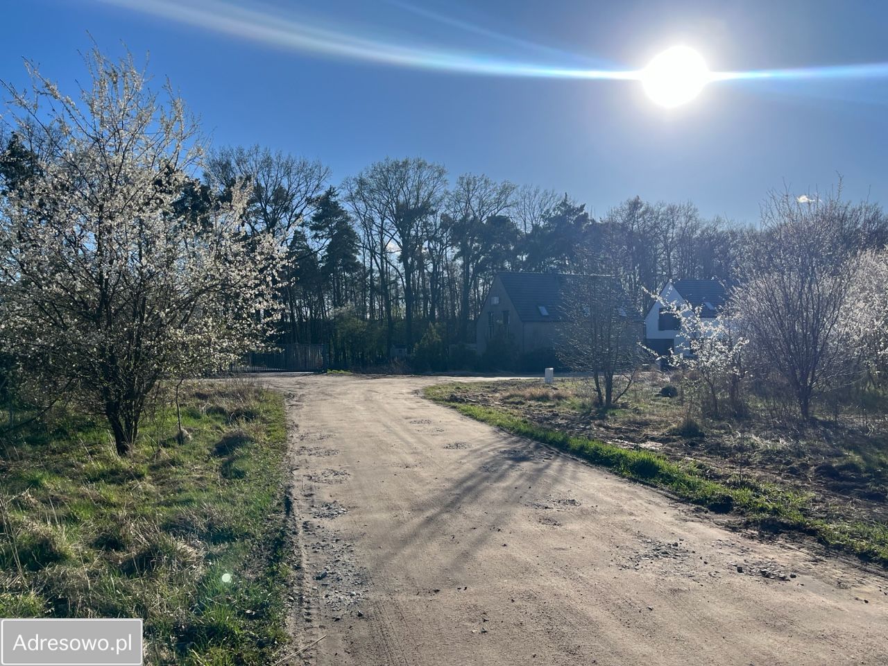 Działka budowlana Łękno. Zdjęcie 6