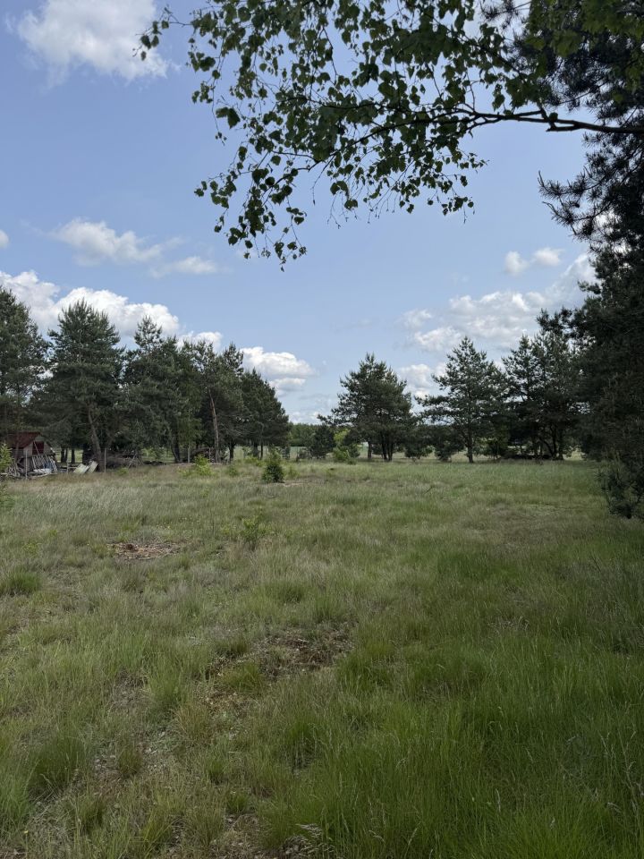 Działka budowlana Szkocja, ul. Różana. Zdjęcie 2