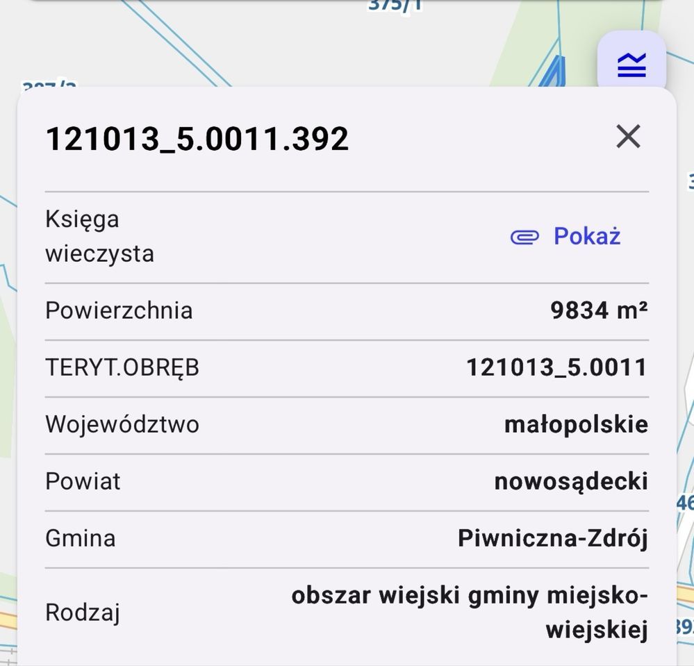 Działka rolna Wierchomla Wielka. Zdjęcie 3