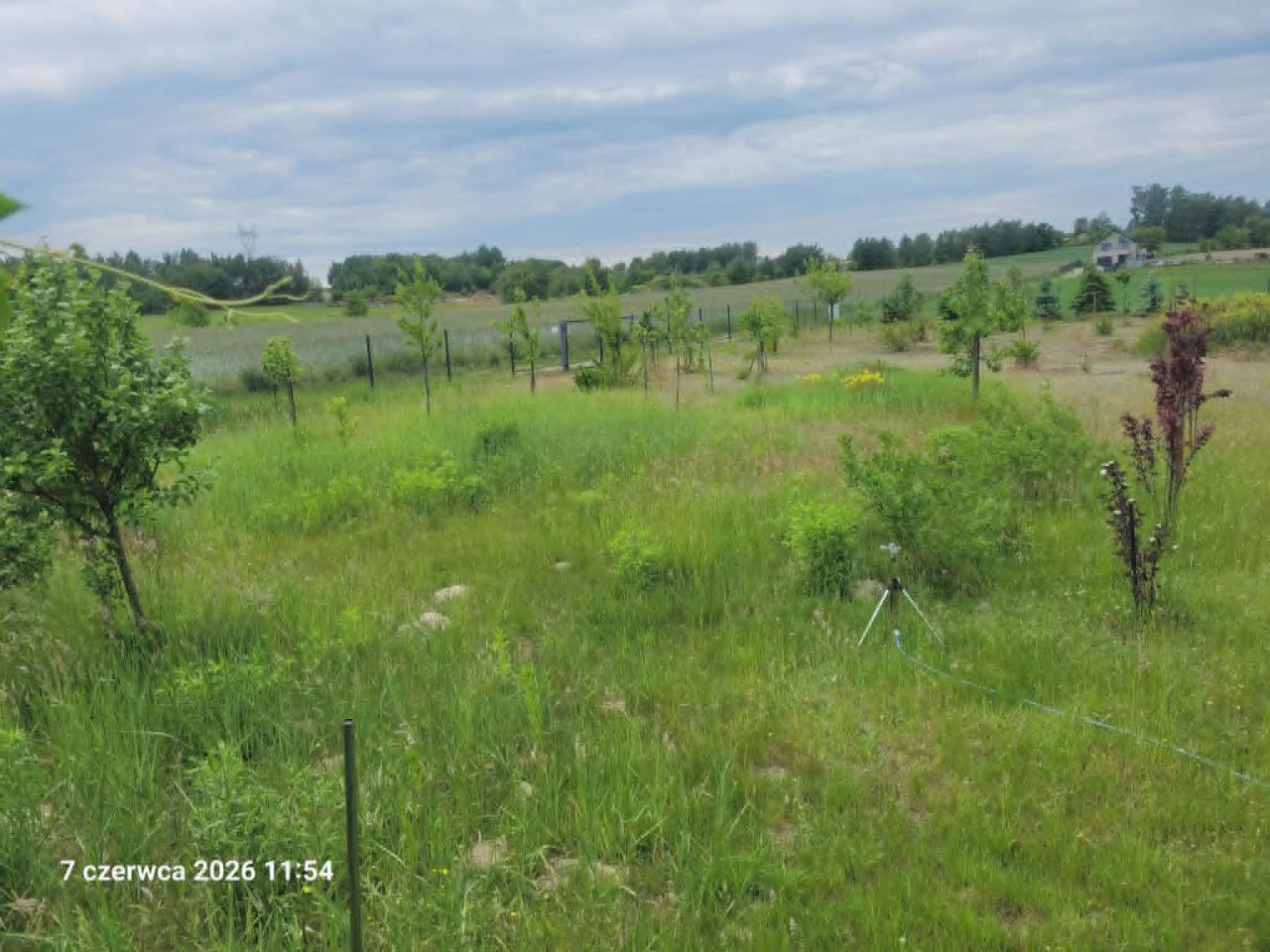Działka budowlana Rosanów Wymokłe, ul. Baśniowa. Zdjęcie 7