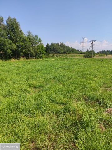 Działka budowlana Palczowice. Zdjęcie 1