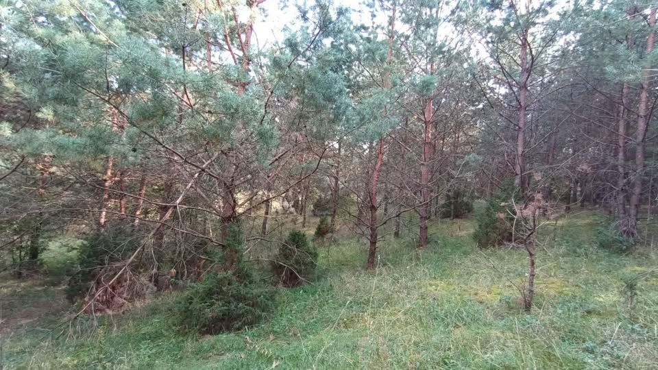 Działka rolna Narty, ul. Długa. Zdjęcie 5