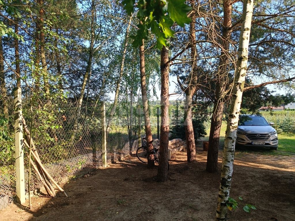 Działka siedliskowa Osuchów. Zdjęcie 13