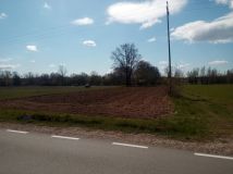 Działka rolno-budowlana Przęsławice. Zdjęcie 1