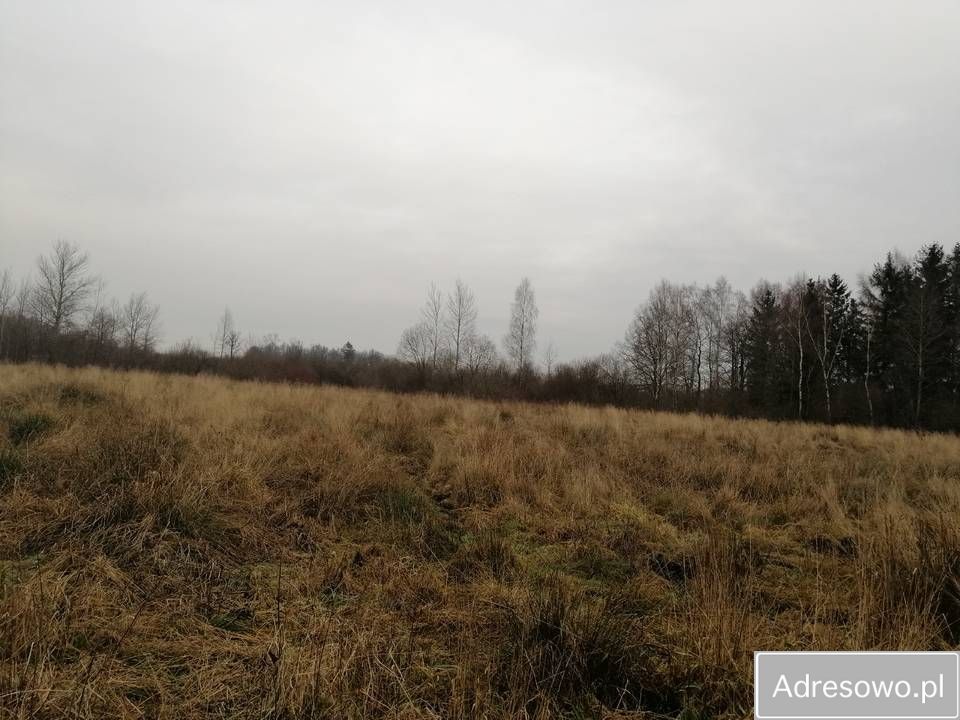 Działka rolna Sierakowo Słupskie. Zdjęcie 4