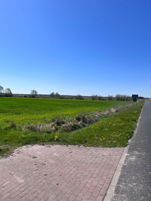 Działka budowlana Jarzysław. Zdjęcie 6