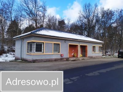 Lokal Zielonka. Zdjęcie 2