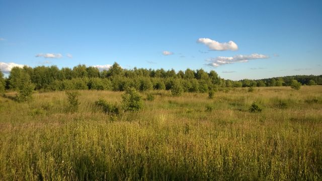 Działka budowlana Pluski, ul. Polna. Zdjęcie 13