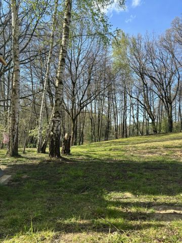 Działka budowlana Wodzisław Śląski Kokoszyce, ul. Oraczy. Zdjęcie 1