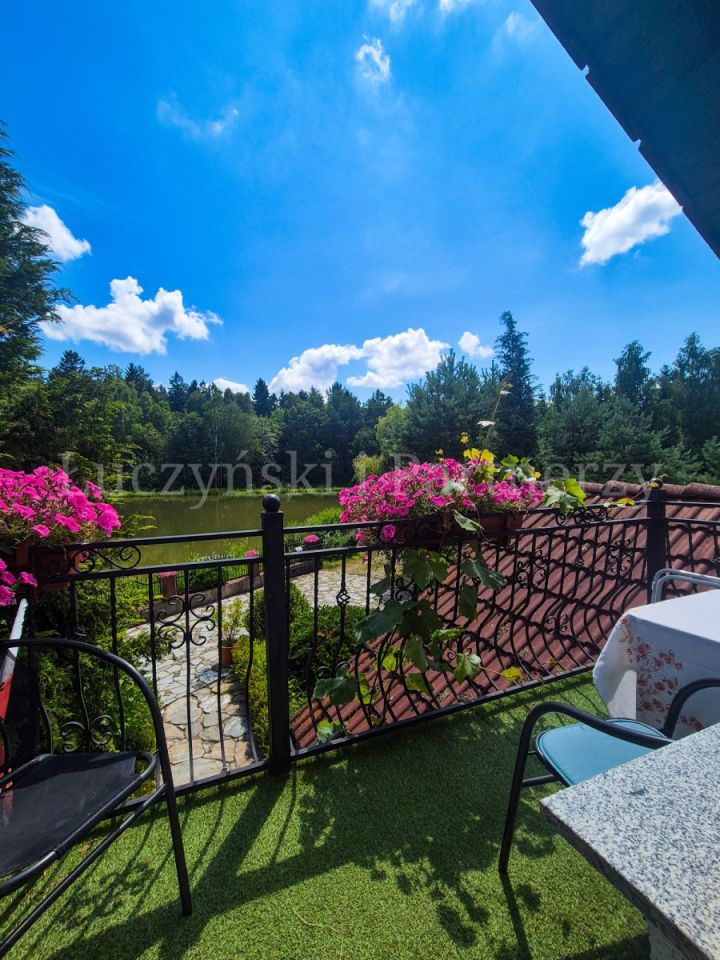 Lokal Gryfów Śląski. Zdjęcie 38