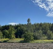 Działka rolno-budowlana Bełchów, ul. Polna. Zdjęcie 1