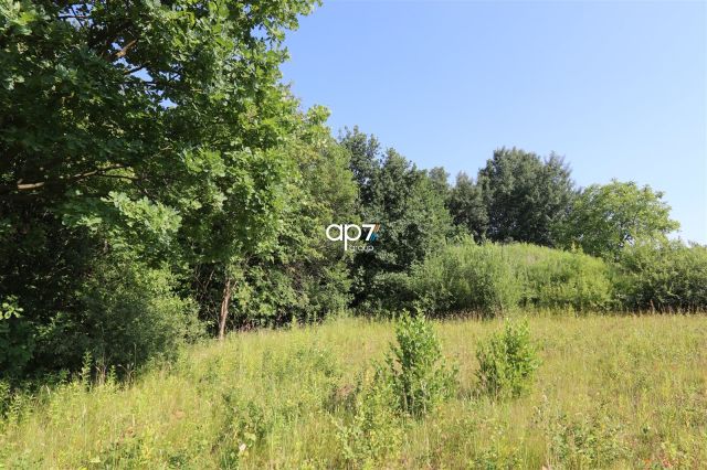 Działka inwestycyjna Bodzanów. Zdjęcie 3