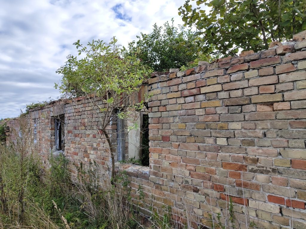 Działka rolno-budowlana Wielki Wełcz. Zdjęcie 2