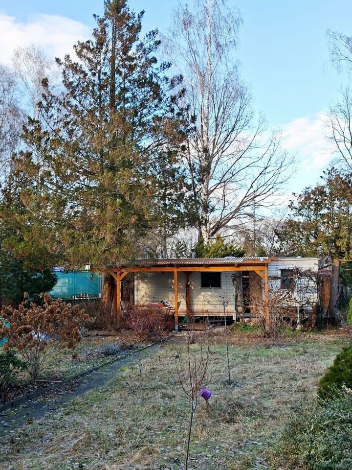 Działka rod Stary Konik. Zdjęcie 7