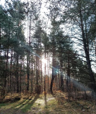 Działka rod Białystok Bagnówka, ul. Krzysztofa Pendereckiego. Zdjęcie 13