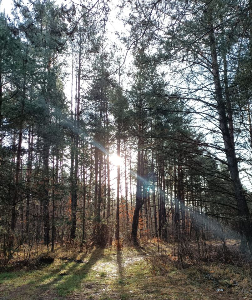 Działka rod Białystok Bagnówka, ul. Krzysztofa Pendereckiego. Zdjęcie 13