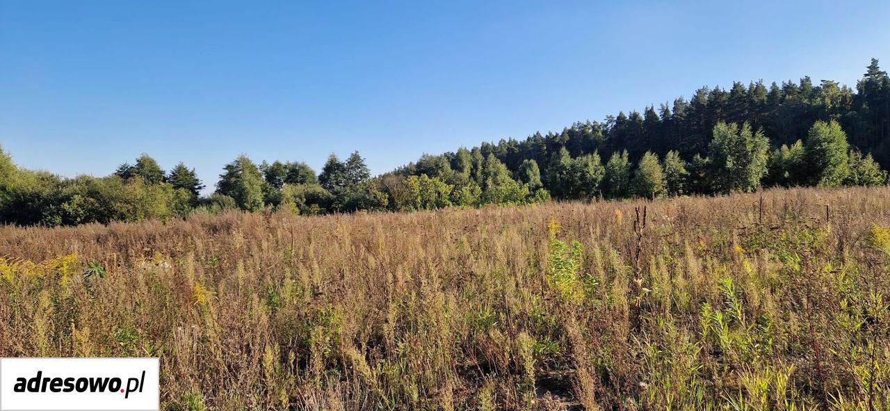 Działka budowlana Kleszczewo. Zdjęcie 4