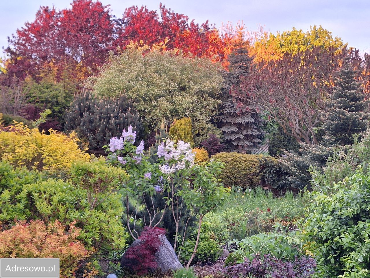 dom wolnostojący, 4 pokoje Leszno, ul. Rycerska. Zdjęcie 13