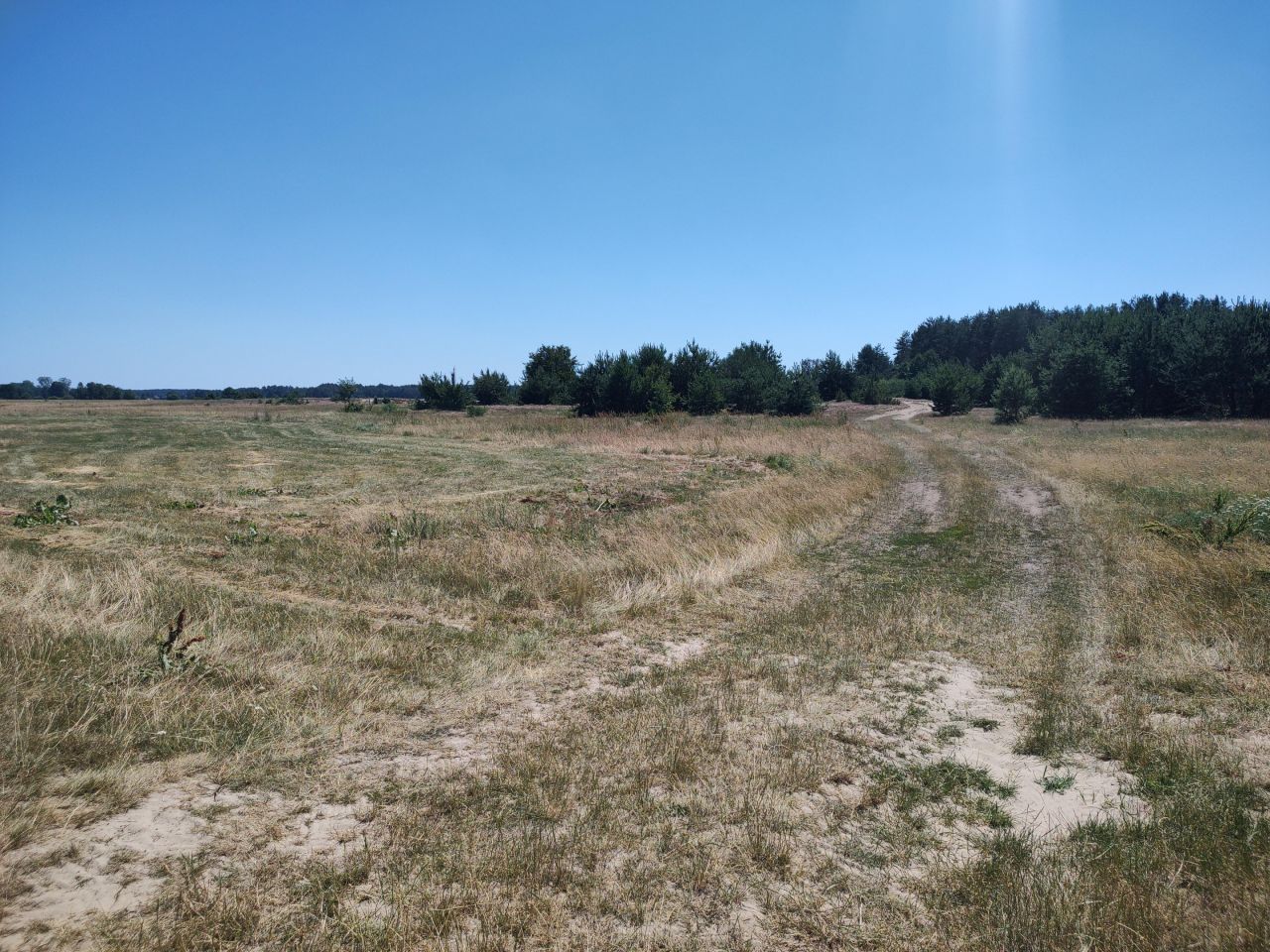 Działka rolna Słomianka Sępiki. Zdjęcie 9