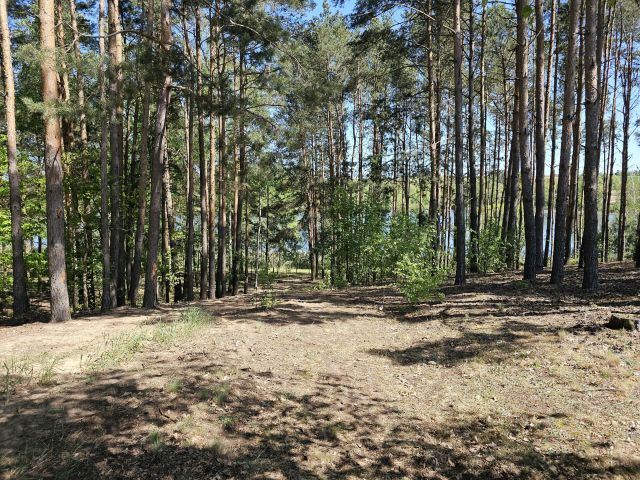 Działka inwestycyjna Macikowo. Zdjęcie 5