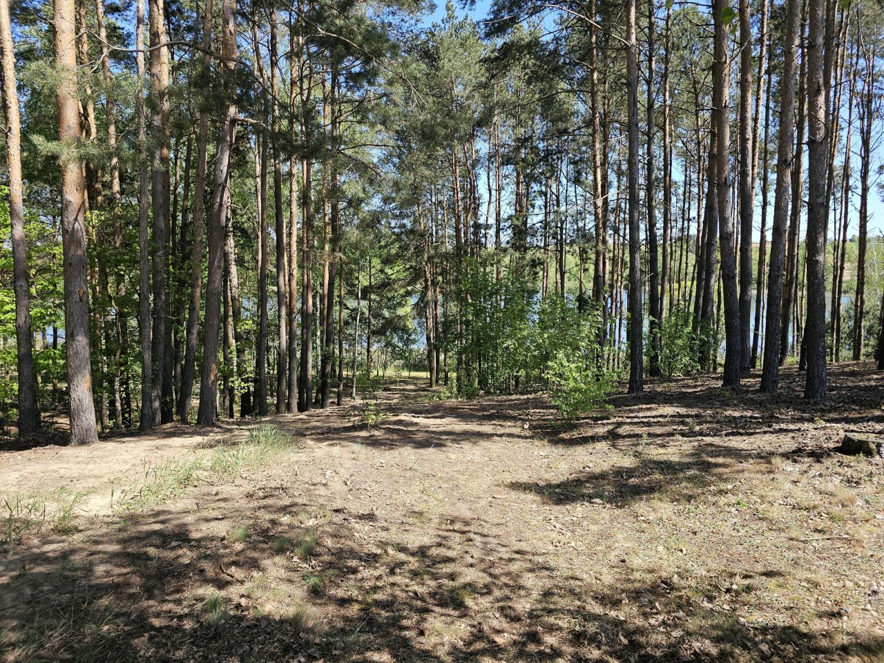 Działka inwestycyjna Macikowo. Zdjęcie 5