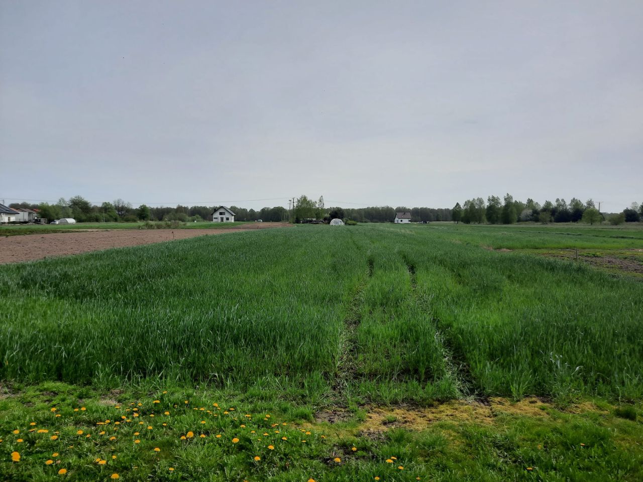 dom wolnostojący, 4 pokoje Adamów, ul. Jana Kilińskiego. Zdjęcie 12