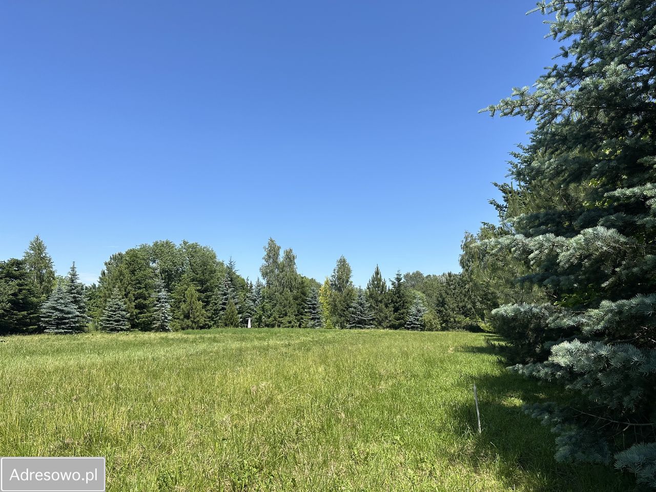 Działka inwestycyjna Warszawa Wilanów, ul. Syta. Zdjęcie 6