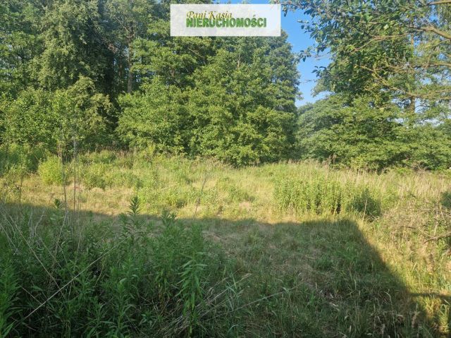 Działka budowlana Szczęsne. Zdjęcie 1