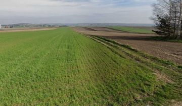 Działka inwestycyjna Trzyciąż, ul. Piaskowa