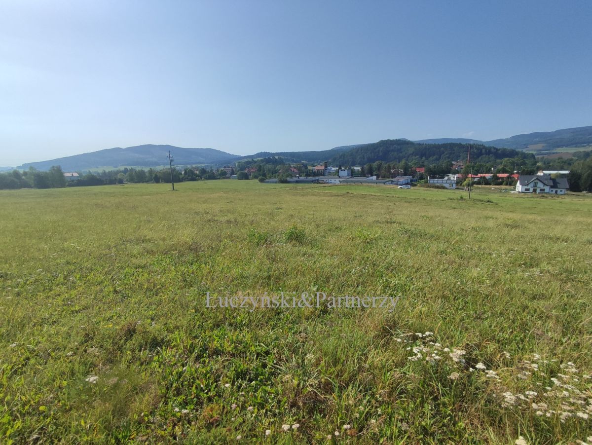 Działka inwestycyjna Marciszów. Zdjęcie 4