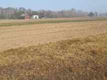 Działka budowlana Januszówka. Zdjęcie 1