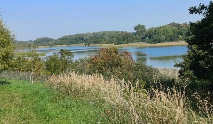 Działka budowlana Grabowo Kolonia Dolna-Grabowo