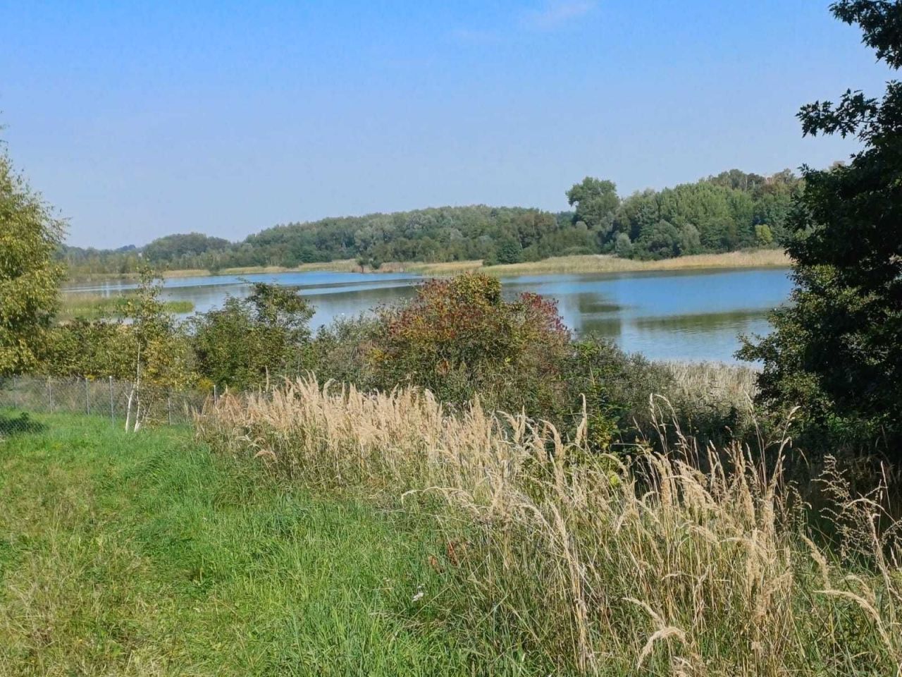 Działka budowlana Grabowo Kolonia Dolna-Grabowo. Zdjęcie 1