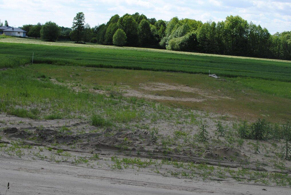 Działka inna Wiekowo. Zdjęcie 4