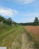 Działka rolna Pęgów. Zdjęcie 4