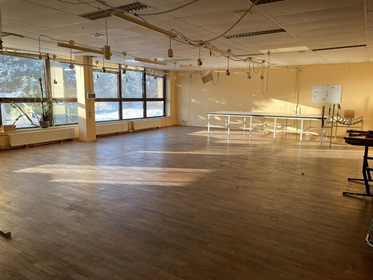 Nieruchomość komercyjna Bieganów. Zdjęcie 5