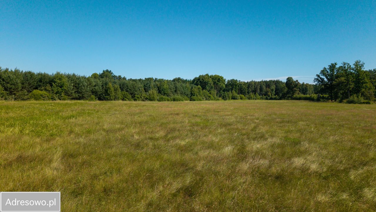Działka rolna Dobrochów. Zdjęcie 2