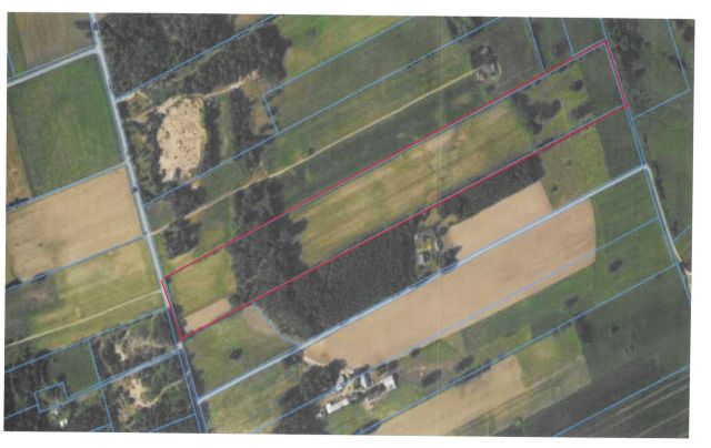 Działka rolna Sadowo. Zdjęcie 1